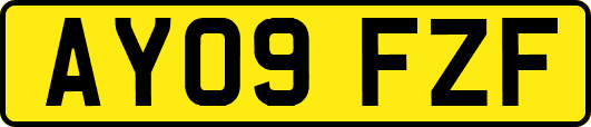 AY09FZF