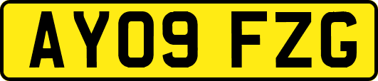 AY09FZG
