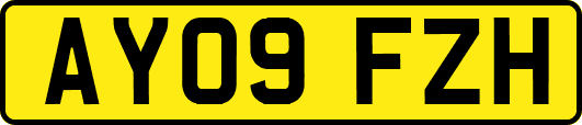 AY09FZH