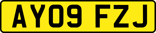 AY09FZJ