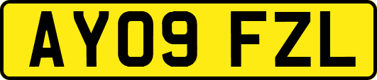 AY09FZL