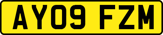 AY09FZM