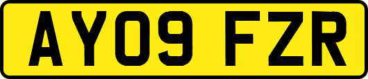 AY09FZR