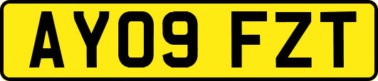 AY09FZT