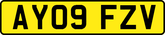 AY09FZV
