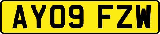 AY09FZW