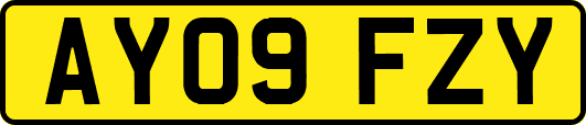 AY09FZY