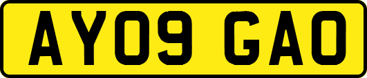 AY09GAO