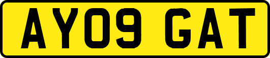 AY09GAT