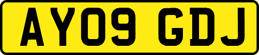 AY09GDJ