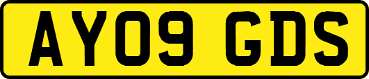 AY09GDS