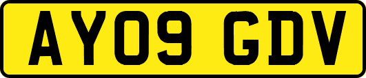AY09GDV