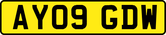 AY09GDW