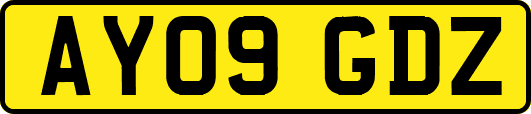 AY09GDZ