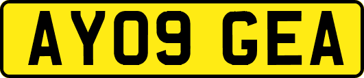 AY09GEA