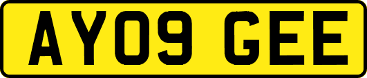AY09GEE