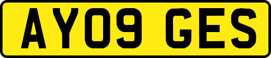 AY09GES