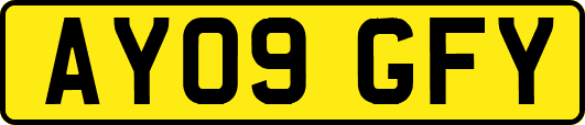AY09GFY