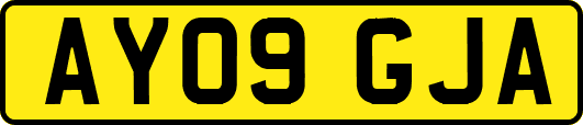 AY09GJA