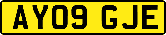 AY09GJE