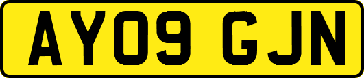 AY09GJN