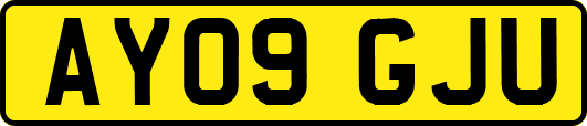 AY09GJU