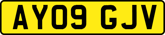 AY09GJV
