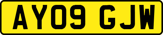 AY09GJW