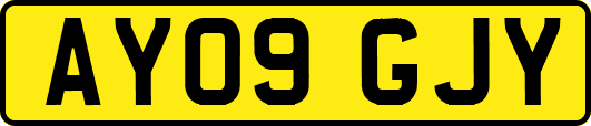 AY09GJY