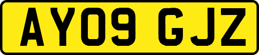 AY09GJZ