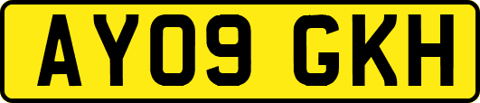 AY09GKH