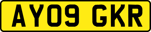 AY09GKR