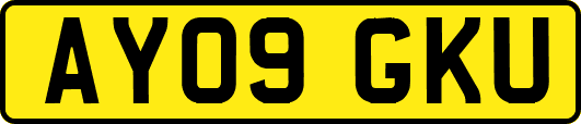 AY09GKU