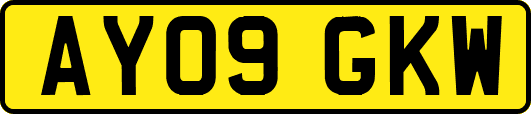 AY09GKW