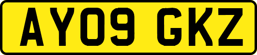 AY09GKZ