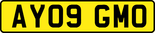 AY09GMO