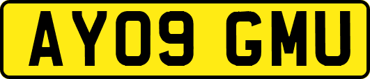 AY09GMU