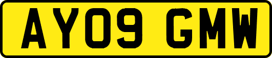 AY09GMW
