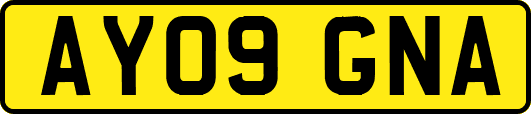 AY09GNA