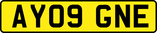 AY09GNE