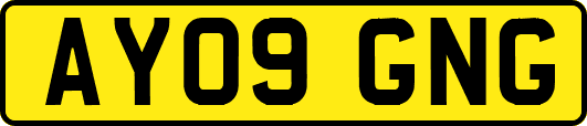 AY09GNG