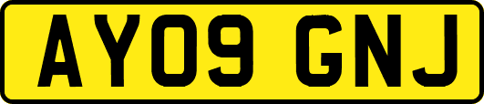 AY09GNJ