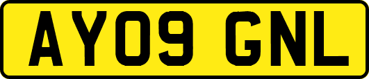 AY09GNL