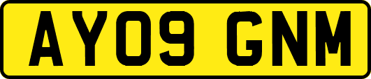 AY09GNM