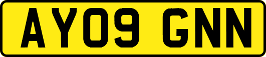 AY09GNN