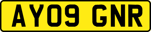 AY09GNR