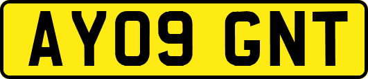 AY09GNT