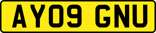 AY09GNU