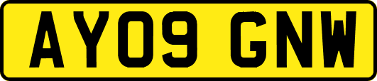 AY09GNW