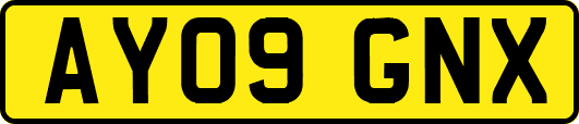 AY09GNX